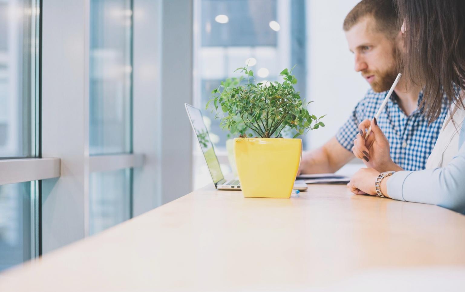 Interaktive Lernsitzung mit praxisnahen Finanzanalyse-Übungen